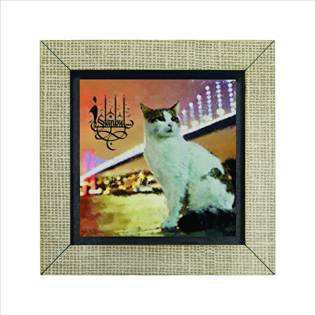 İstanbul Kedisi  Baskılı MDF  Magnet(KRT-064)Buzdolabı Süsü