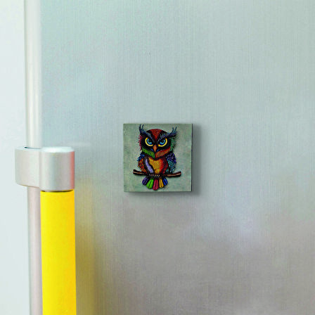 Baykuş Baskılı Doğaltaş  Magnet(KRG-162)Buzdolabı Süsü