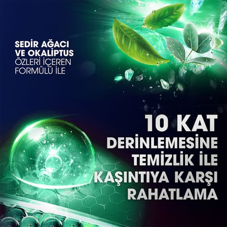 Clear Men Kepeğe Karşı Etkili Şampuan Günlük Arınma ve Ferahlık Sedir Ağacı ve Okaliptus Özleri 350 ml