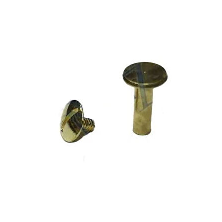 CEYLAN ADAM Cilt Menü, Katalog, Kartela Vidası, 20 Mm - Sarı, 100 Adet