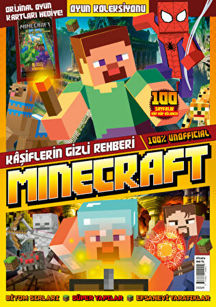 Minecraft 2025/01