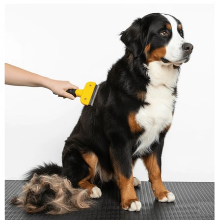 Kedi &amp; Köpekler İçin  Alıcı 7 cm