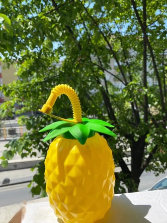 Ananas Pipetli Suluk