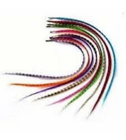 Hair Feather  ü - Asorti