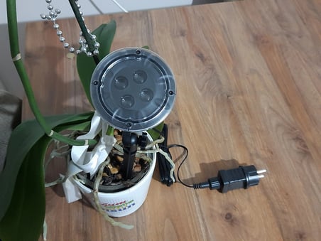 Peri Led Işık 5 metre BEYAZ  Dekor Lambası 50 Ledli