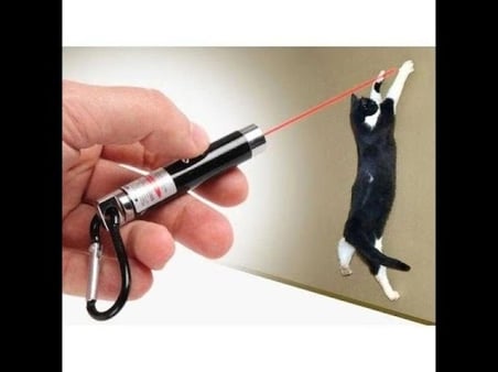 4 Yedek Başlıklı Pilli Kedi Oyuncağı Lazer lık