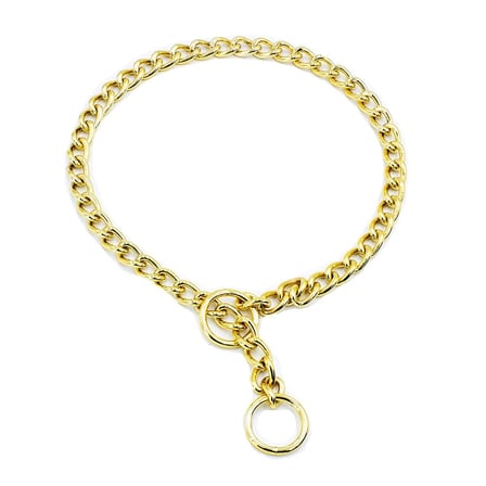 Eğitim Serisi li Köpek Boyun Tasması 3,5x65 cm - Gold