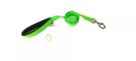 Köpek Gezdirme Kayışı 2 cm x 115 cm Yeşil
