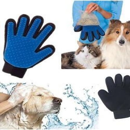 Karamel Kedi Köpek  Toplama Eldiveni