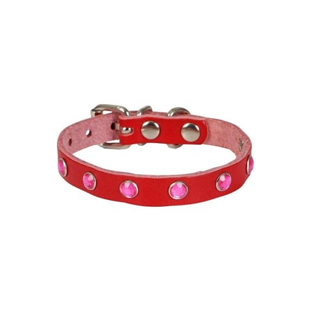 Taşlı Kedi ve Yru Köpek Tasması 1,2x26 cm Kırmızı Large