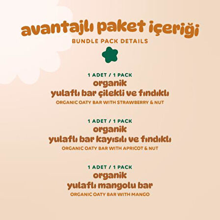 Organik Vegan Çilekli Kayısılı ve Mangolu Yulaf Bar Atıştırmalık Paketi - 3 adet (3 çeşit)
