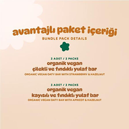 Organik Vegan Yulaf Bar Atıştırmalık Paketi - 6 adet (2 çeşit)