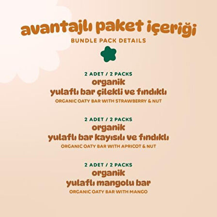 Organik Vegan Çilek Kayısı ve Mango Yulaf Bar Atıştırmalık Paketi - 6 adet (3 çeşit)