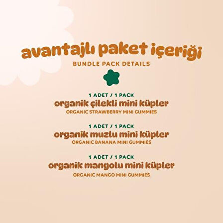Organik Glutensiz Vegan Muzlu Çilekli ve Mangolu Mini Küpler Atıştırmalık Paketi - 3 adet (3 çeşit)