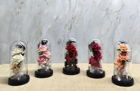 Işıklı Müzikli Cam Fanus İçinde Romantik Gül  Alk5004