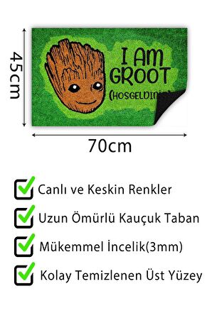 Groot Kapı Önü Paspası Dekoratif Kapı Paspası Dış Mekân Paspas Ev İçi Paspası 45x70cm