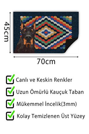 Kapı Önü Paspası Dekoratif Kapı Paspası Dış Mekân Paspas Ev İçi Paspası 45x70cm