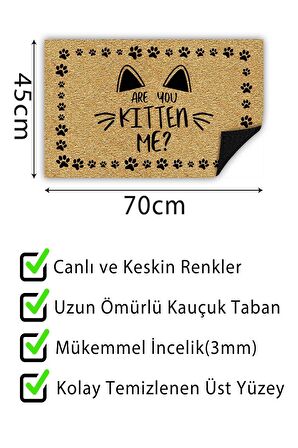 Kitten Me Kapı Önü Paspası Dekoratif Kapı Paspası Dış Mekân Paspas Ev İçi Paspası 45x70cm