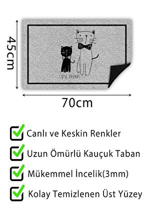 Kapı Önü Paspası Dekoratif Kapı Paspası Dış Mekân Paspas Ev İçi Paspası 45x70cm