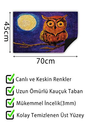 Baykuş Kapı Önü Paspası Dekoratif Kapı Paspası Dış Mekân Paspas Ev İçi Paspası 45x70cm