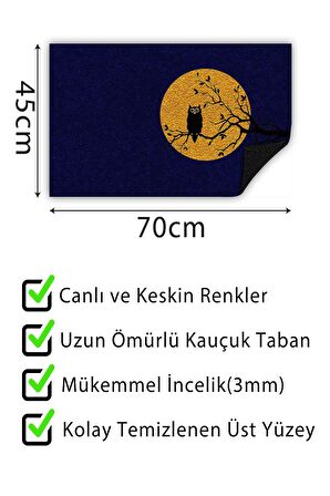 Kapı Önü Paspası Dekoratif Kapı Paspası Dış Mekân Paspas Ev İçi Paspası 45x70cm