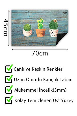 Kapı Önü Paspası Dekoratif Kapı Paspası Dış Mekân Paspas Ev İçi Paspası 45x70cm