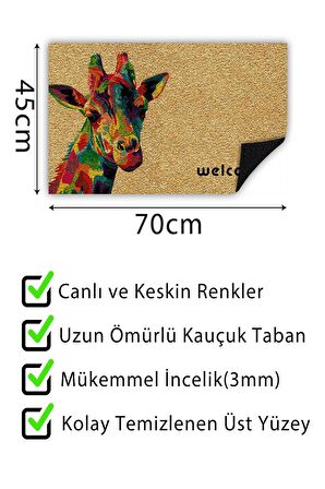 Renkli Zebra Kapı Önü Paspası Dekoratif Kapı Paspası Dış Mekân Paspas Ev İçi Paspası 45x70cm