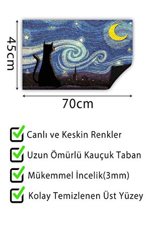 Kapı Önü Paspası Dekoratif Kapı Paspası Dış Mekân Paspas Ev İçi Paspası 45x70cm