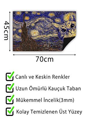 Kapı Önü Paspası Dekoratif Kapı Paspası Dış Mekân Paspas Ev İçi Paspası 45x70cm