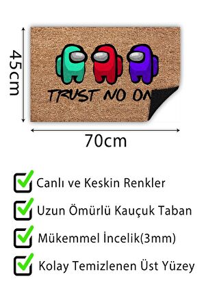 Trust No One apı Önü Paspası Dekoratif Kapı Paspası Dış Mekân Paspas Ev İçi Paspası 45x70cm