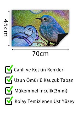 Limon Kapı Önü Paspası Dekoratif Kapı Paspası Dış Mekân Paspas Ev İçi Paspası 45x70cm