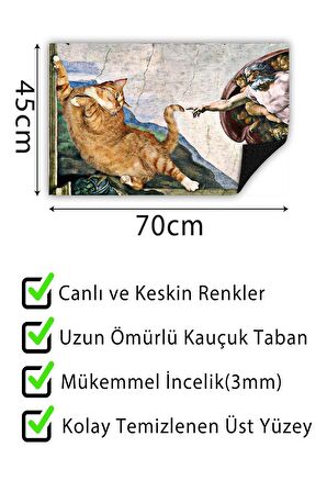 Kedinin Yaratılışı Kapı Önü Paspası Dekoratif Kapı Paspası Dış Mekân Paspas Ev İçi Paspası 45x70cm