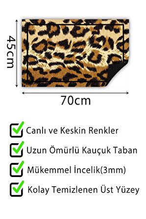 Kapı Önü Paspası Dekoratif Kapı Paspası Dış Mekân Paspas Ev İçi Paspası 45x70cm