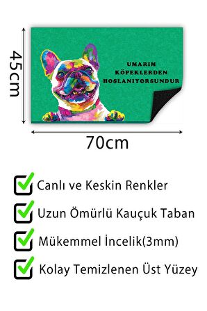 Kapı Önü Paspası Dekoratif Kapı Paspası Dış Mekân Paspas Ev İçi Paspası 45x70cm