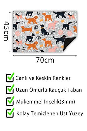 Kapı Önü Paspası Dekoratif Kapı Paspası Dış Mekân Paspas Ev İçi Paspası 45x70cm