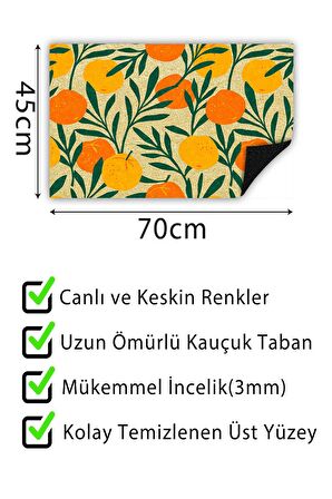 Kapı Önü Paspası Dekoratif Kapı Paspası Dış Mekân Paspas Ev İçi Paspası 45x70cm