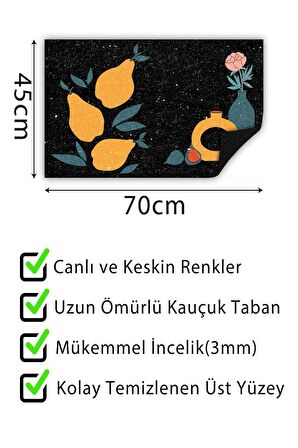 Kapı Önü Paspası Dekoratif Kapı Paspası Dış Mekân Paspas Ev İçi Paspası 45x70cm