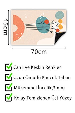 Kapı Önü Paspası Dekoratif Kapı Paspası Dış Mekân Paspas Ev İçi Paspası 45x70cm