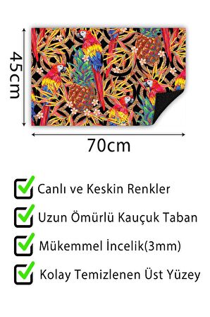 Kapı Önü Paspası Dekoratif Kapı Paspası Dış Mekân Paspas Ev İçi Paspası 45x70cm