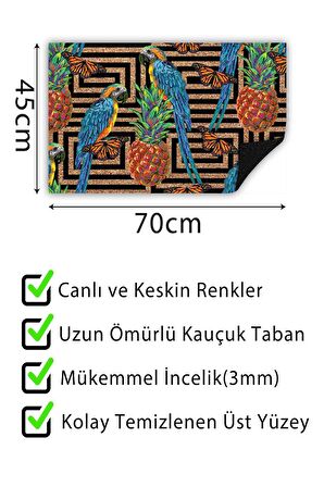 Papağan Kapı Önü Paspası Dekoratif Kapı Paspası Dış Mekân Paspas Ev İçi Paspası 45x70cm