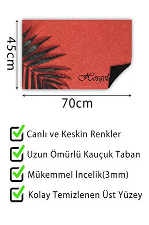 Kapı Önü Paspası Dekoratif Kapı Paspası Dış Mekân Paspas Ev İçi Paspası 45x70cm