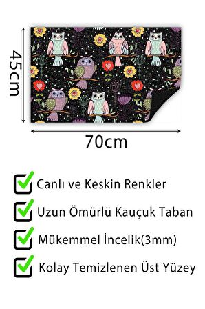 Kapı Önü Paspası Dekoratif Kapı Paspası Dış Mekân Paspas Ev İçi Paspası 45x70cm