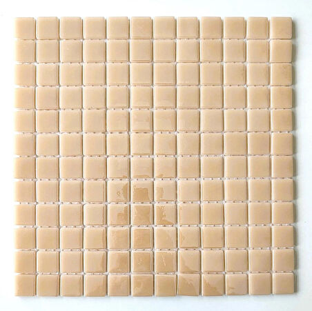 Mutfak tezgah arası, Havuz, Banyo, Sauna, Spa, iç , dış, zemin, duvar, kaplama ve dekorasyon uygulamalarında tüm yüzeyler için, 25x25mm. Bej,  31.5x31.5cm. Fileli Cam Mozaik.