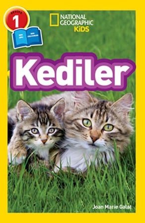 Kids - Kediler
