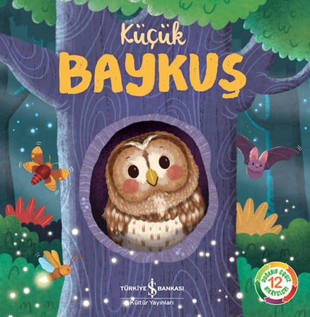 Küçük Baykuş - Doğanın Eşsiz Hikayeleri 12