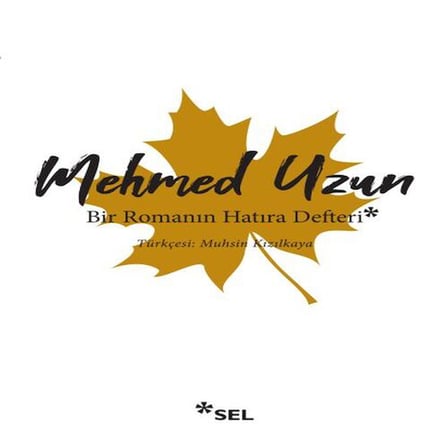 Bir Romanın  Defteri
