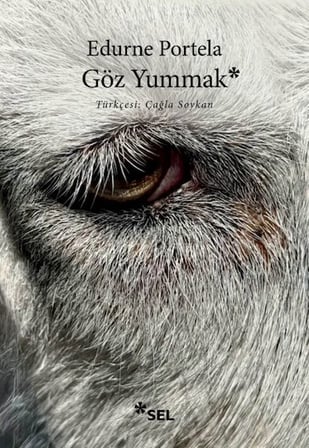 Göz Yummak