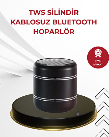 Kompakt Silindir Metal Bluetooth Hoparlör 400 mAh Uzun Pil TWS Destekli