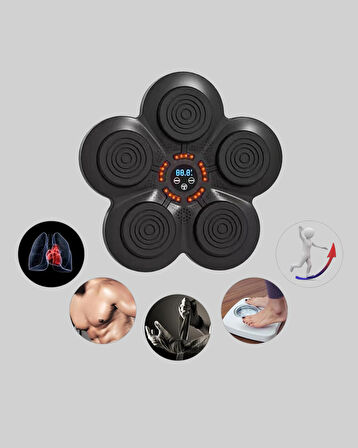 Bluetoothlu Akıllı Boks Antrenman Cihazı Işıklı Hedefli Kardiyo ve Fitness Ale