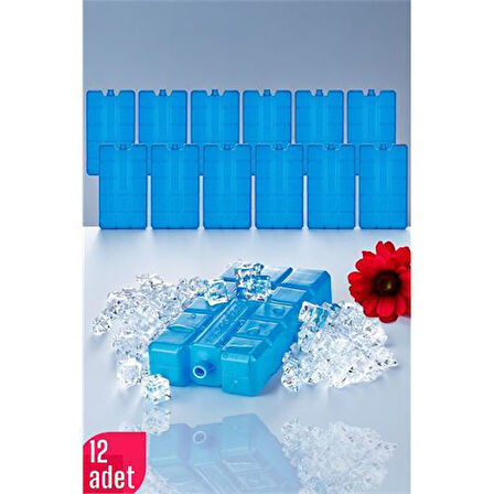 HSNET Buz Aküsü Buz Kasedi 12 ADET